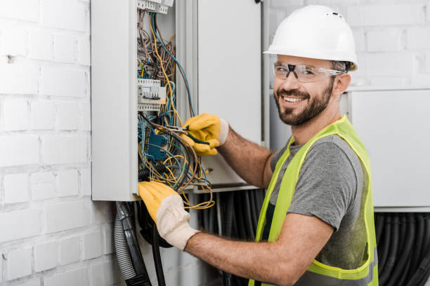 Best Licensed Electrician  in Ionia, MI