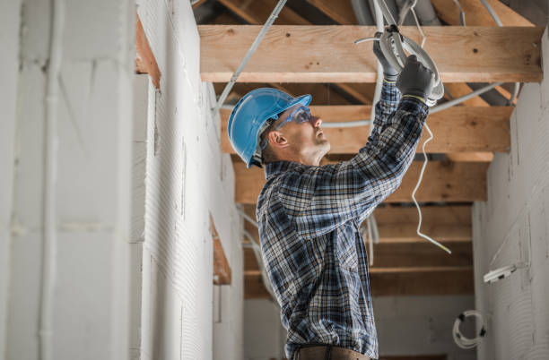 Best Home Electrical Repair  in Ionia, MI
