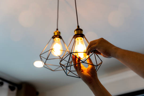 Best Affordable Electrician  in Ionia, MI