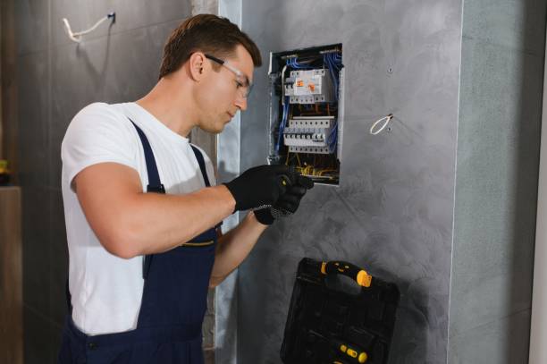 Best Industrial Electrical Services  in Ionia, MI