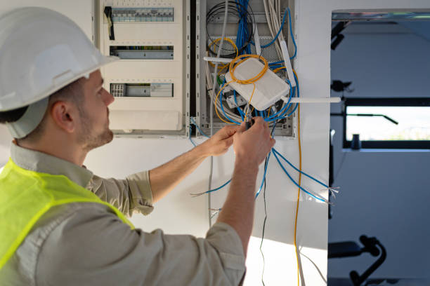 Best Electrical System Inspection  in Ionia, MI